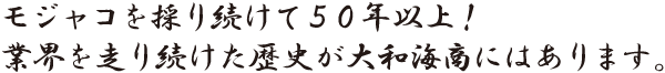 モジャコを採り続けて５０年以上！業界を走り続けた歴史が大和海商にはあります。