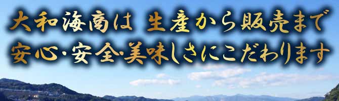 大和海商は生産から販売まで安心・安全・美味しさにこだわります