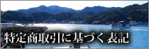 特定商取引に基づく表記